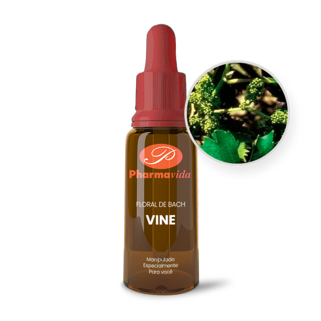 Imagem não encontrada